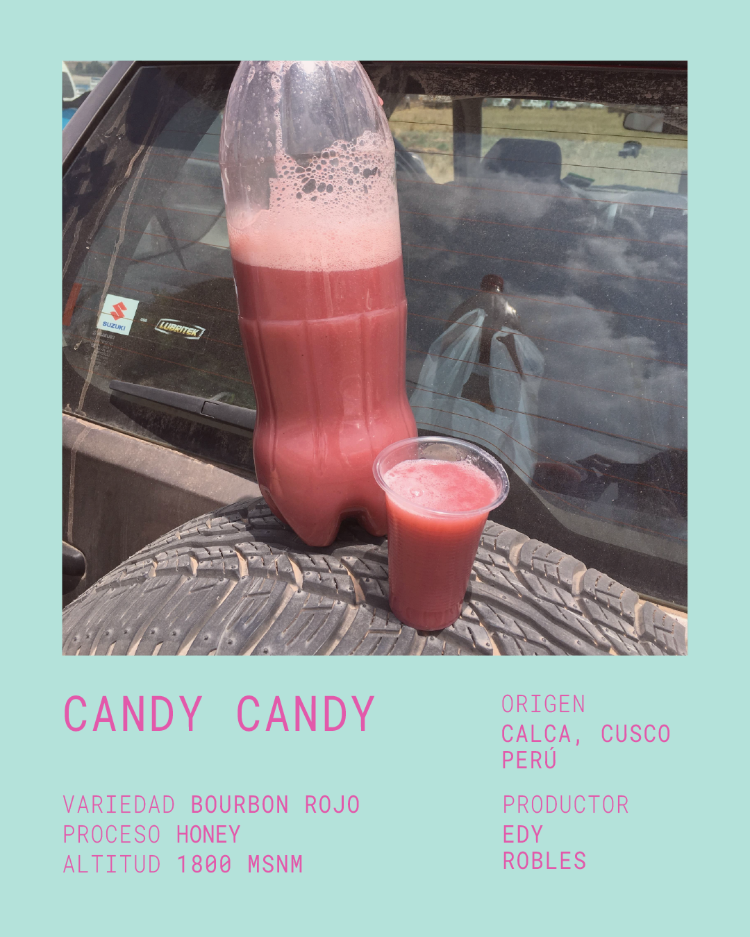 CANDY CANDY