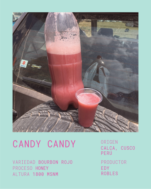 CANDY CANDY