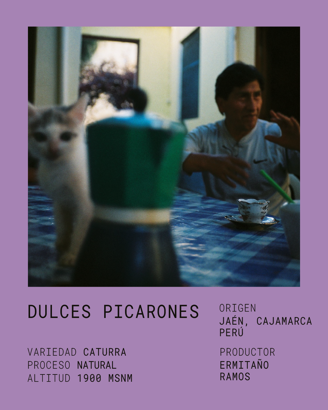 DULCES PICARONES