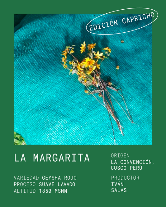 LA MARGARITA *EDICIÓN CAPRICHO*
