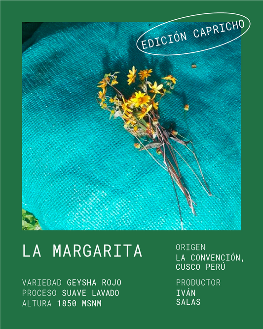 LA MARGARITA *EDICIÓN CAPRICHO*